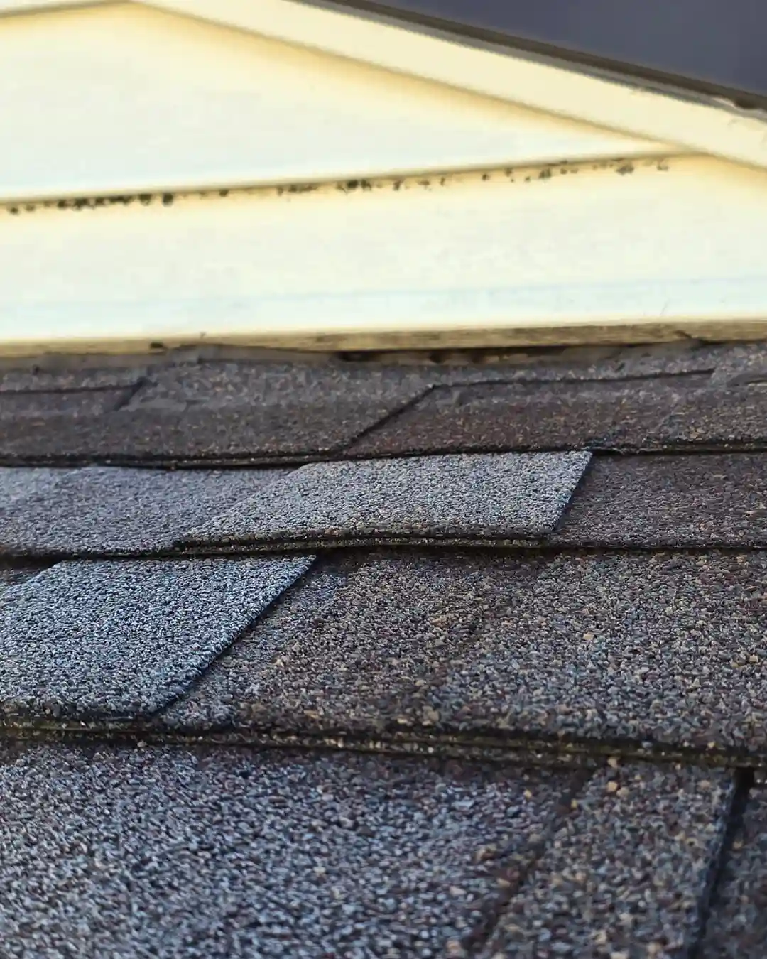 Roof-Repair_Say-Goodbye-to-Leaks_capital_construction_iowa_23